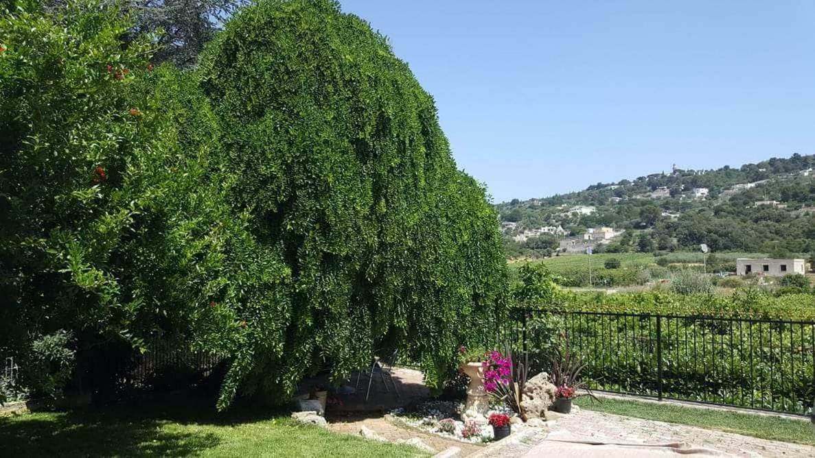 Villa Barone Selva Di Fasano Esterno foto