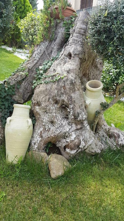 Villa Barone Selva Di Fasano Esterno foto